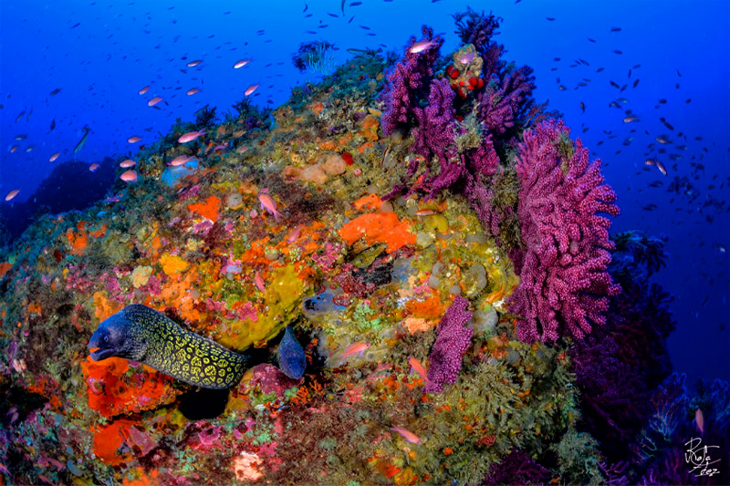 Salidas de buceo en Ceuta