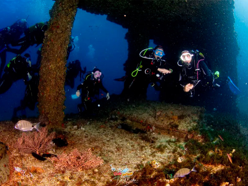 Especialidad buceo en Pecios