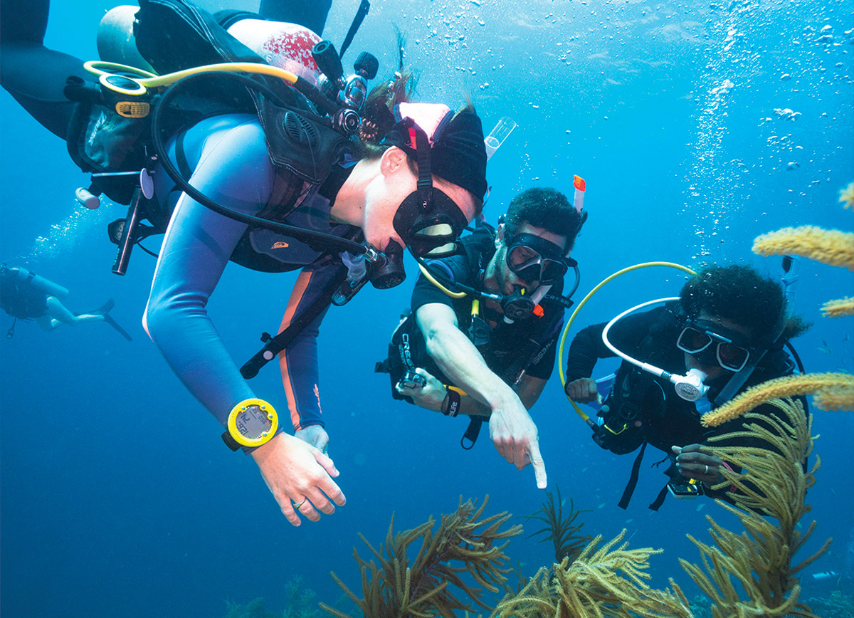 PADI Advanced Open Water en Ceuta