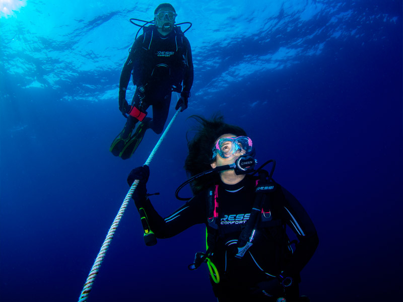Curso Master Scuba Trainer