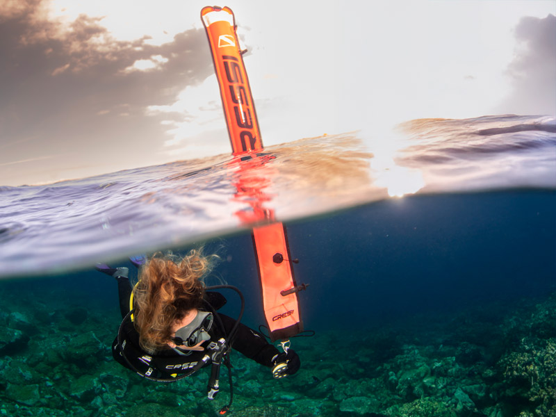 PADI Specialty Instructor